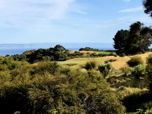 Cape Kidnappers 3rd Bush